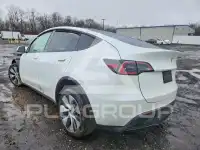 2021 Tesla Model Y фото