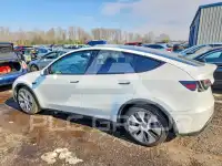 2021 Tesla Model Y фото