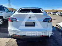 2021 Tesla Model Y фото