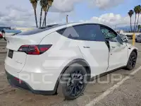 2021 Tesla Model Y photo