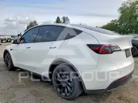 2021 Tesla Model Y photo