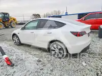2021 Tesla Model Y photo