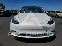 2021 Tesla Model Y photo