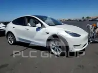 2021 Tesla Model Y photo