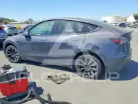 2021 Tesla Model Y фото