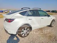 2021 Tesla Model Y photo