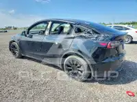 2021 Tesla Model Y фото