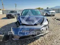 2021 Tesla Model Y photo