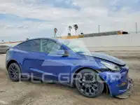 2021 Tesla Model Y photo