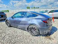 2021 Tesla Model Y photo