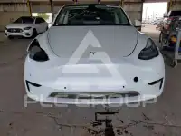 2021 Tesla Model Y фото