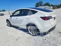 2021 Tesla Model Y фото