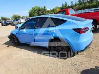 2021 Tesla Model Y photo
