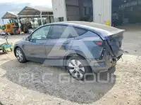 2021 Tesla Model Y photo