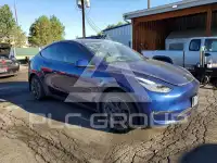 2021 Tesla Model Y photo