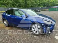 2021 Tesla Model Y фото