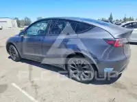 2021 Tesla Model Y photo