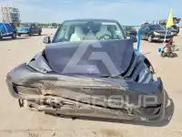 2021 Tesla Model Y photo