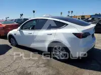 2021 Tesla Model Y фото
