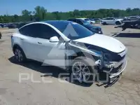 2021 Tesla Model Y photo