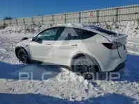 2021 Tesla Model Y фото