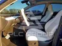 2021 Tesla Model Y photo