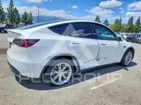 2021 Tesla Model Y фото
