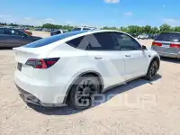 2021 Tesla Model Y photo