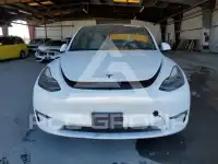 2021 Tesla Model Y photo