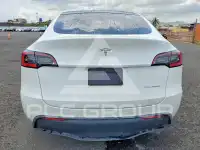 2021 Tesla Model Y photo