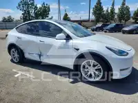 2021 Tesla Model Y фото