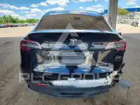 2021 Tesla Model Y фото