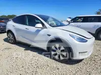 2021 Tesla Model Y фото