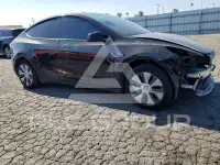2021 Tesla Model Y photo