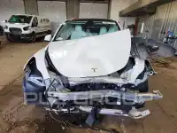 2021 Tesla Model Y photo