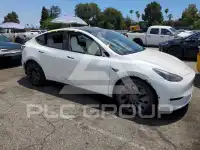 2021 Tesla Model Y photo