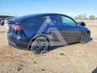2021 Tesla Model Y photo