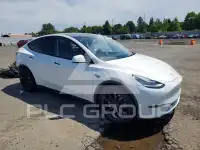 2021 Tesla Model Y фото