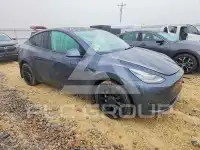2021 Tesla Model Y фото