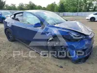 2021 Tesla Model Y фото