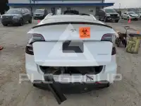 2021 Tesla Model Y photo