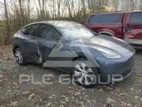 2021 Tesla Model Y photo