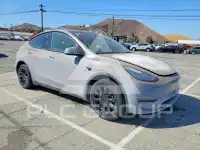 2021 Tesla Model Y photo