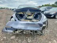 2021 Tesla Model Y фото