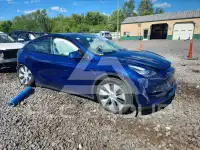 2021 Tesla Model Y фото