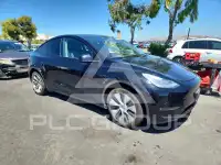 2021 Tesla Model Y photo
