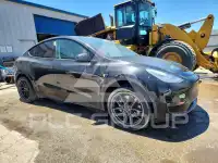 2021 Tesla Model Y фото