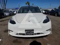 2021 Tesla Model Y photo