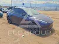 2021 Tesla Model Y фото