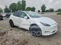 2021 Tesla Model Y фото